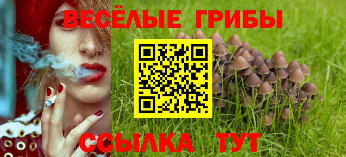 Псилоцибиновые грибы Psilocybine cubensis  Вход с VPN  Мыски 